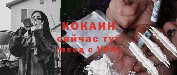 крисы Алзамай